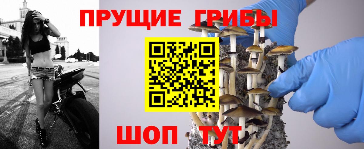 Усинск  Галлюциногенные грибы MAGIC MUSHROOMS  Вход с VPN  Галлюциногенные грибы прущие грибы 
